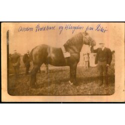 Anders Staldkarl og Hingsten paa Linds� - Fotokort u/n - Br�dstrup - Ubrugt
