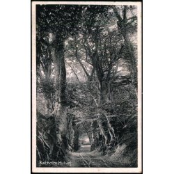 Efterporto - Postkort fra Kalundborg 20 - 7 - 41 - Efterporto 14 re