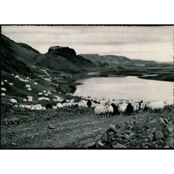 Thj&ocirc;rsardalur - Ferdaskrifstofa 106 - Ubrugt