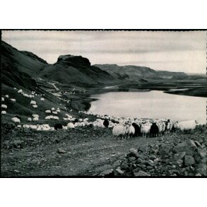 Thj&ocirc;rsardalur - Ferdaskrifstofa 106 - Ubrugt