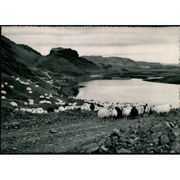 Thj&ocirc;rsardalur - Ferdaskrifstofa 106 - Ubrugt