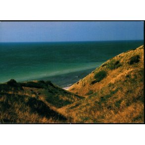 Br�ndebosrenden ved Vesterstrand - Anholt - Gamma u/n - Brugt