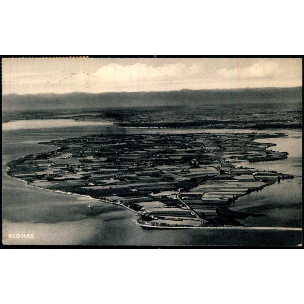 Kegn�s - S�nderjysk Flyveselskab ?? - Brugt