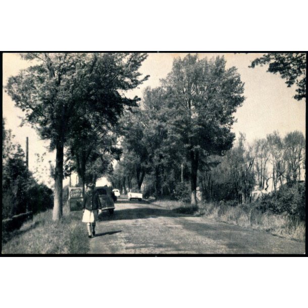 Hilsen fra Hasmark - Dansk Villa Foto u/n - Ubrugt