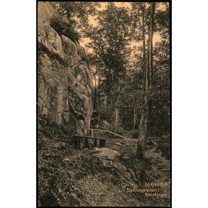 Bornholm - Fuglesangsrenden - Almindingen - Colbergs Bogh. u/n - Brugt