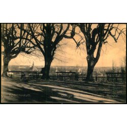 Kbenhavn - Udsigt fra Frederiksberg Bakke - C. St. 523  - Brugt