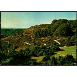 Rebild - Stier i Nationalparken - Stender 49 619/17 - Brugt