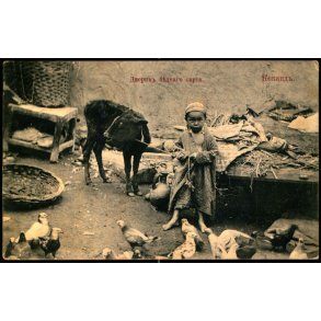 Kokand - G�rden til en fattig sart (Basjkirer) - Brugt