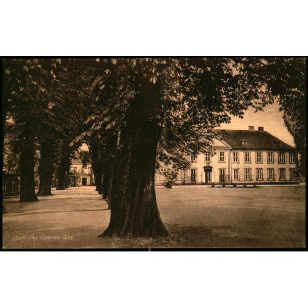 Parti ved Odense Slot - Chr. Pedersens Kunstforlag 16 p - Ubrugt