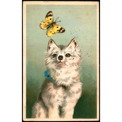 Postkort fra Vejle 4 - 7 - 14 - Forsinket paa grund af mangelfuld Adresse !