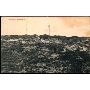 Klitparti Blaavand - C.J.C. 546 - Brugt