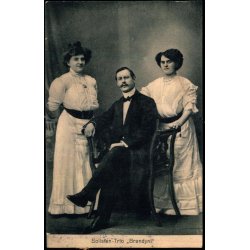 Solisten-Trio "Brandyni" - Wittenbecher 252 - Brugt