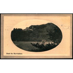 Parti fra Skovbakken - P. Hansen u/n - Brugt