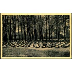 Christiansfeld  - Kirkegaarden - C. Barnholdts Bogh. 3182 - Ubrugt