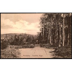 TIDSVILDELEJE p Postkort