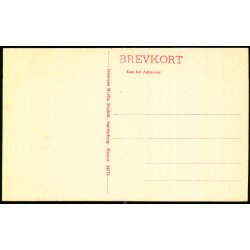 Als - Fiskerhytten - Johannes Moldts Bogh. 24773 - Ubrugt