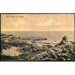 H�j Udsigt ved Allinge - L. Christensen 836 - Ubrugt