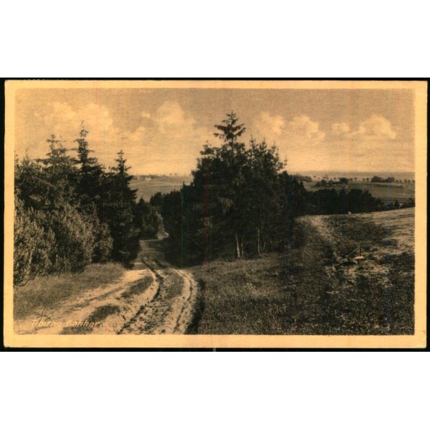 Tibirke Bakker - Rudolf Olsen 211 - Brugt