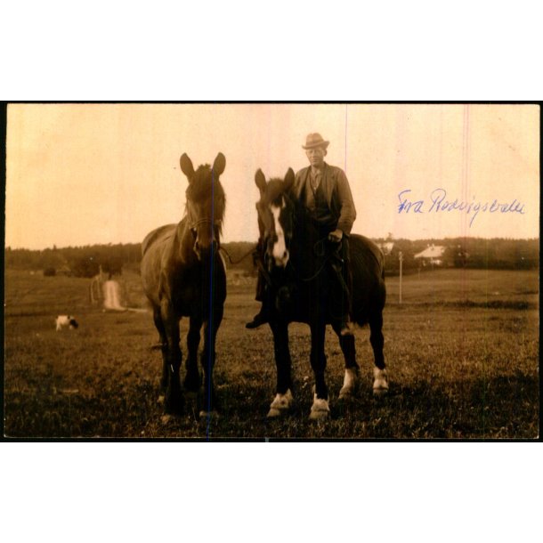 Fra R�dvigsballe - Fotokort u/n - Br�dstrup - Ubrugt