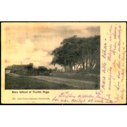 �stre Udkant af Tisvilde Hegn - A. Jensens Bogh. 1733 - Brugt