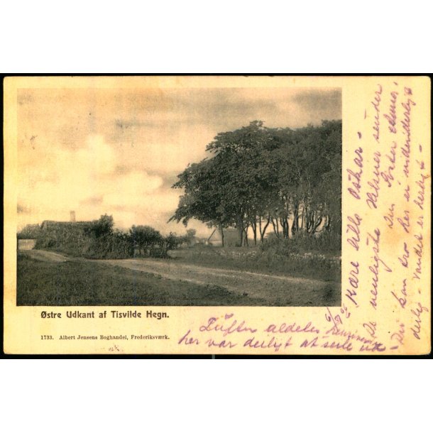 �stre Udkant af Tisvilde Hegn - A. Jensens Bogh. 1733 - Brugt