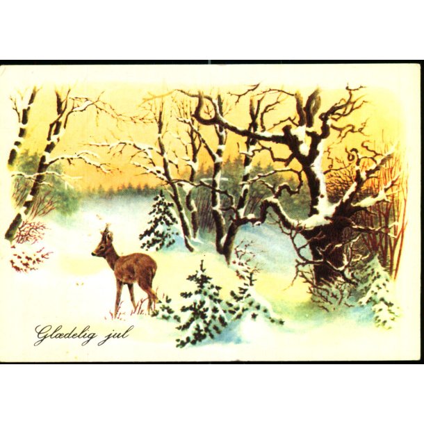 Gldeligf Jul - Clarophan Serie 43,1 - Brugt