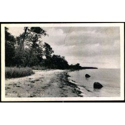 Falster - Parti fra Tromn�s - Stender N.F. 199 - Ubrugt