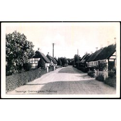 Taasinge - Grnnegade i Troense - Stender T. 295 - Ubrugt