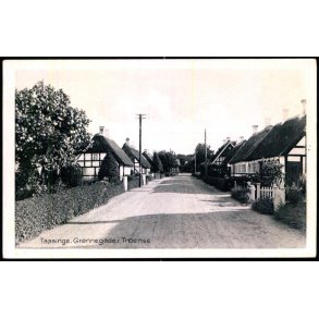 Taasinge - Grnnegade i Troense - Stender T. 295 - Ubrugt