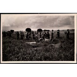 Congo Belge - Luvungi - abatage de betail - Fotokort 4 - 10 - Ubrugt