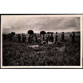 Congo Belge - Luvungi - abatage de betail - Fotokort 4 - 10 - Ubrugt