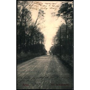 Aarhus - Vejen ved Frederiksh�j - W.K.F. 465 - Brugt