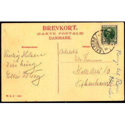 Aalborg - steraagade med Ellen Marsvins Gaard i Forgrunden - W.K.F. 2552