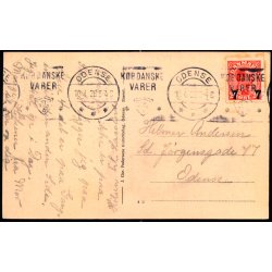 Parti ved Odense Slot - Odense -  Chr. Pedersens Kunstforlag u/n - Brugt