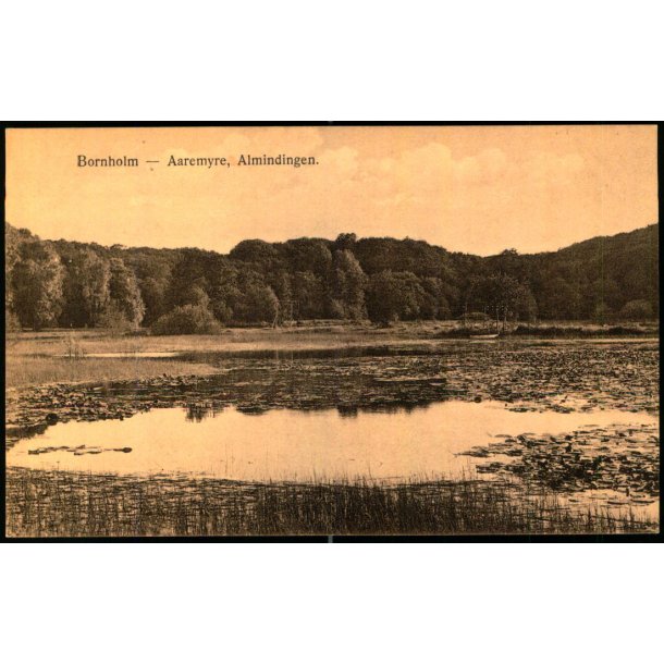 Bornholm - Aaremyre  Almindingen - F. Srensens Bogh. 720 - Ubrugt