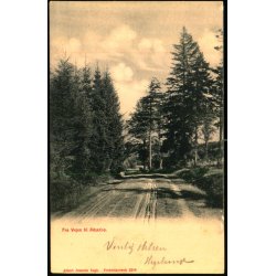 Fra Vejen til Asserbo - A. Jensens Bogh. 2286 - Ubrugt