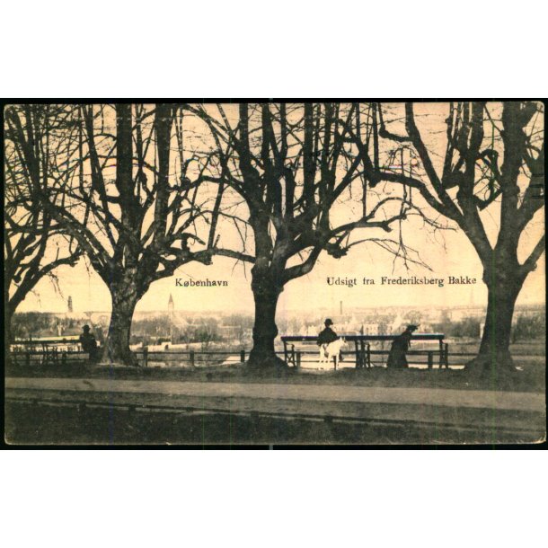 Kbenhavn - Udsigt fra Frederiksberg Bakke - Sk.B. &amp; Kf. 2829  - Brugt