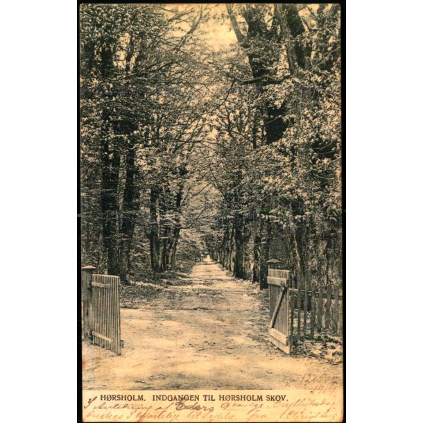 H�rsholm - Indgangen til H�rsh�lm Skov - Peter Alstrup 752 - Brugt