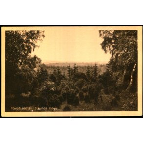 Paradisdalen - Tisvilde Hegn - A. Jensens Bogh. 60175 - Ubrugt