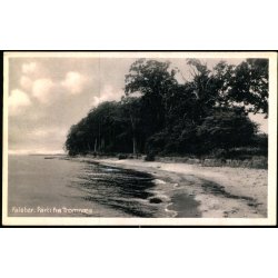 Falster - Parti fra Tromn�s - Stender N.F. 213 - Ubrugt