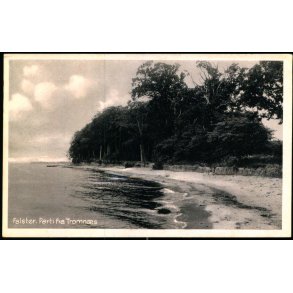 Falster - Parti fra Tromn�s - Stender N.F. 213 - Ubrugt