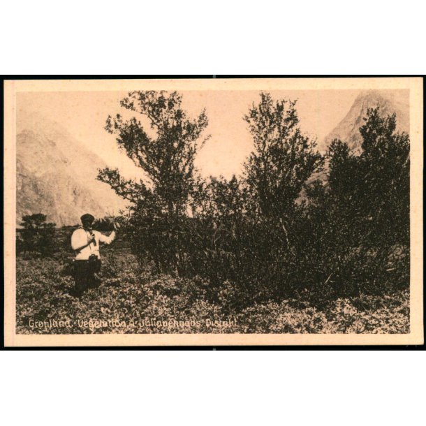 Grnland - Vegetation i Julianehaab Distrikt - Hjlp til Dvstumme u/n  - Ubrugt