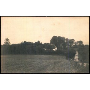 Tandsskov - Lysabbel  - Fotokort Nicolai H�i u/n - Brugt