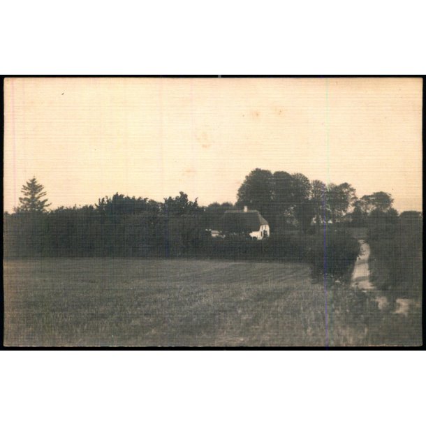 Tandsskov - Lysabbel  - Fotokort Nicolai H�i u/n - Brugt