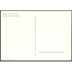 Bornholm -  Kirke - Aakirkeby - Rudolf Olsen 1687 - Ubrugt