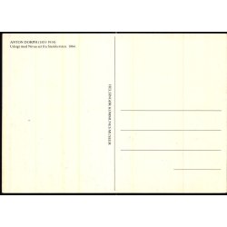 Udsigt mod Nivaa set fra Snekkersten 1864 - Helsing�r Museum u/n - Ubrugt