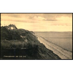 Strandbakkerne ved Lise leje - Albert Jensens Bogh. Eneret
