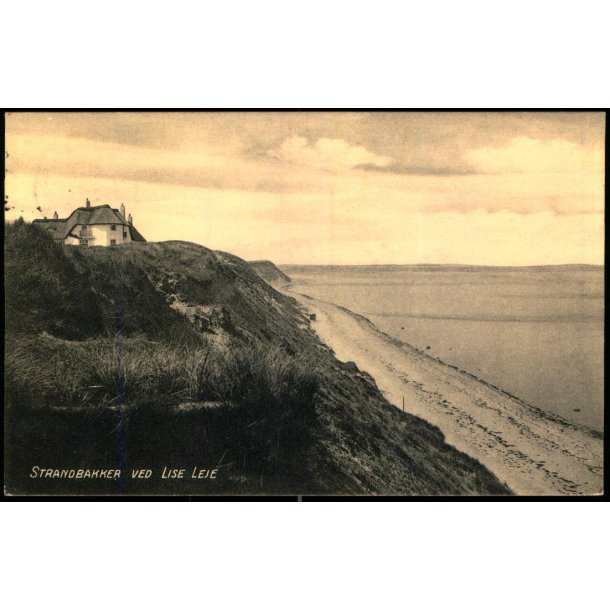 Strandbakkerne ved Lise leje - Albert Jensens Bogh. Eneret