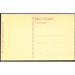 Skagen - Parti fra Havnen -  Laurits Schjeldes Bogh. 16166 - Ubrugt