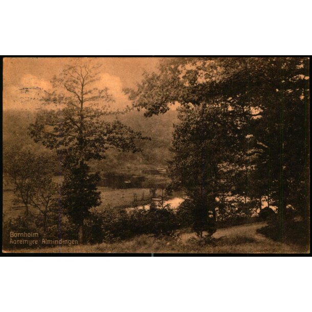 Bornholm - Aaremyre i Almindingen - Rnne Bogh. 51048 - Brugt